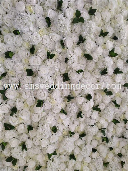 image003